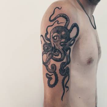 Фото с портфолио Денис Архипов Архипов