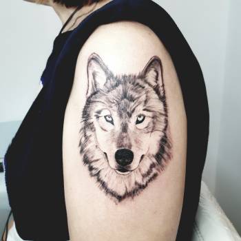 Фото с портфолио Денис Архипов Архипов