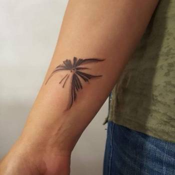 Фото с портфолио Денис Архипов Архипов