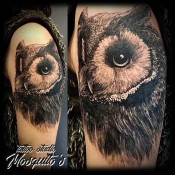 Николай Комарницкий, Ровно Фото - 97