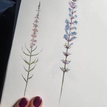 Фото с портфолио Little Mrs. Darya