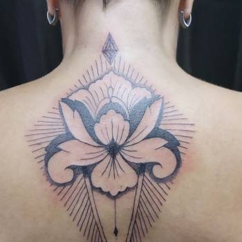 Фото с портфолио Takul