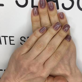 Еліт Сізон, Суми Фото - 4