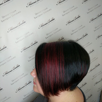 Стрижка женская
                    Перукар Виктория Шевченко Київ