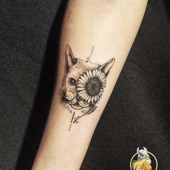 VIKING, Івано-Франківськ Фото - 6