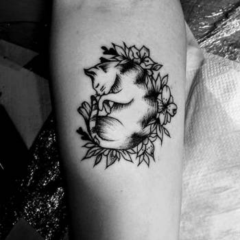 Виктория , Бориспіль Фото - 10