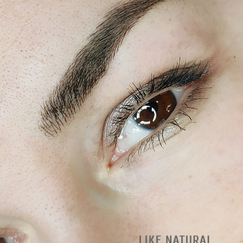 Микроблейдинг бровей (волосковые брови, волоски+пудра)
                    Майстер перманентного макіяжу Оксана Київ