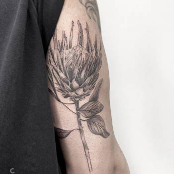 Cartel Tattoo, Одеса Фото - 31