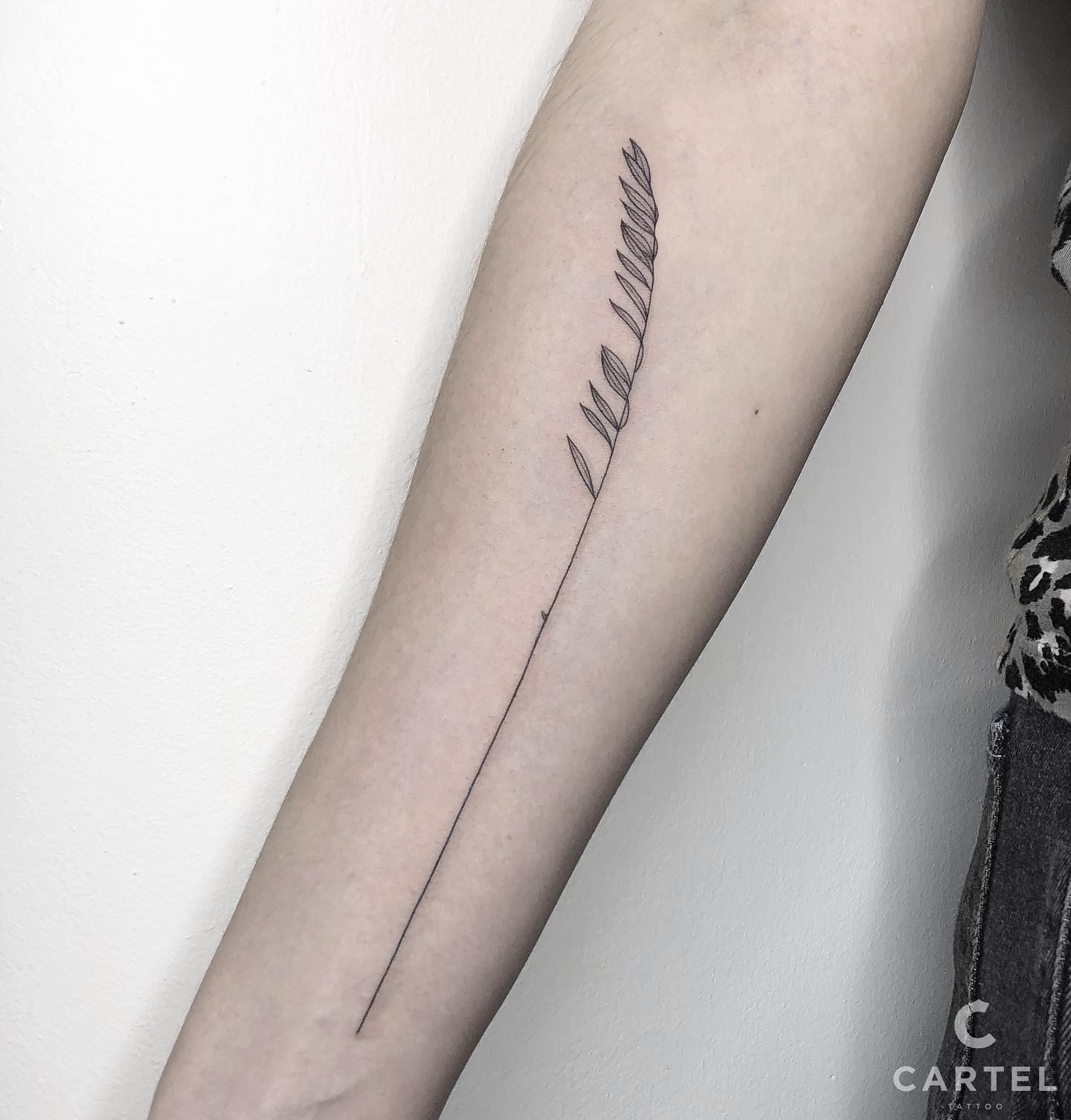 Для дівчат на передпліччі чорно-білі, фото - Тату салон Cartel Tattoo