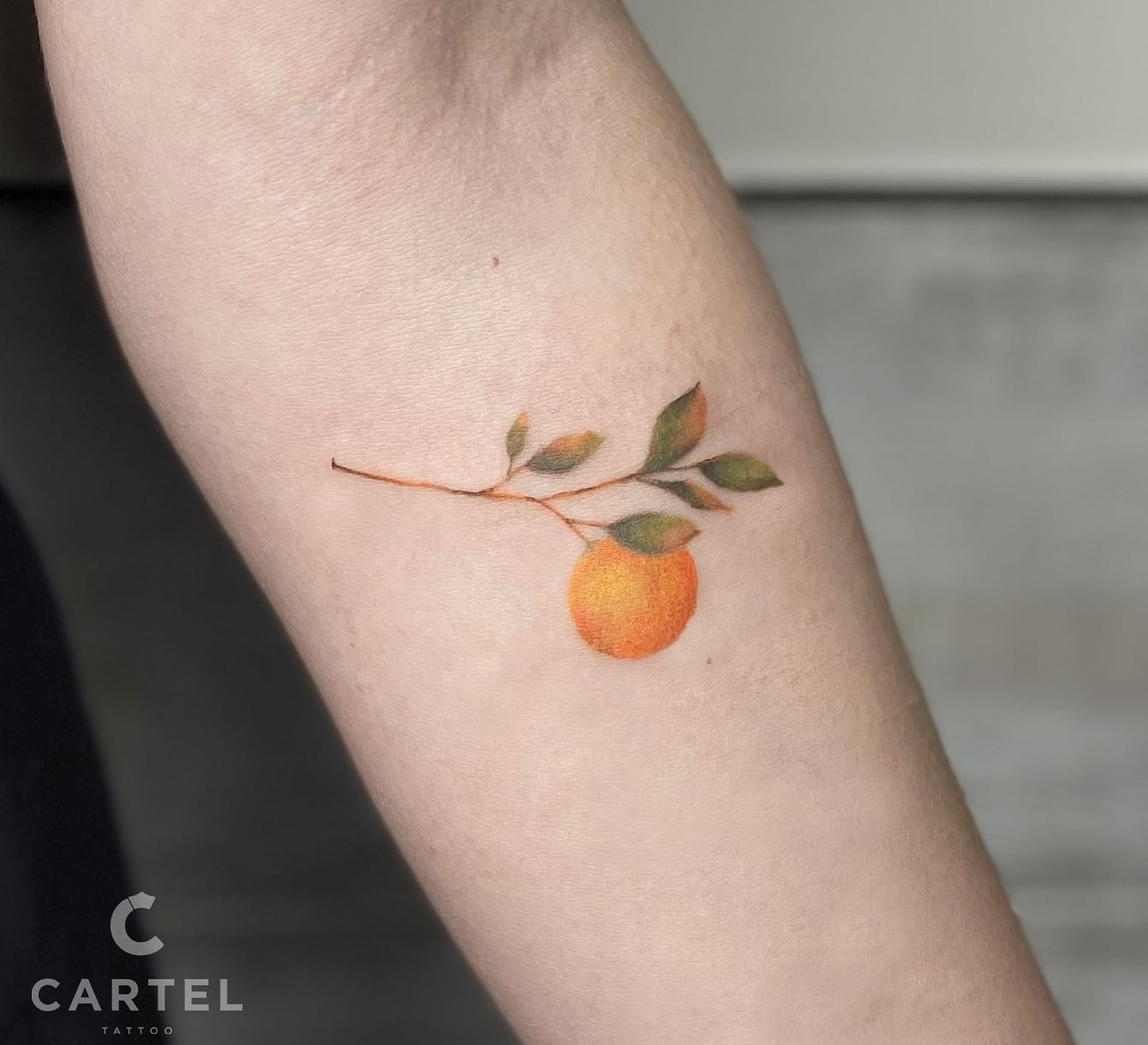 Женские на предплечье цветные, фото - Тату салон Cartel Tattoo