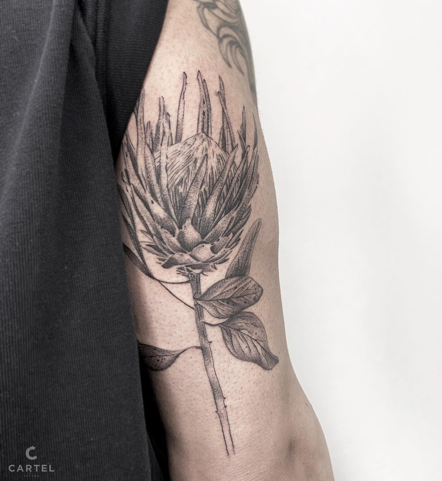 Мужские на плече черно-белые, фото - Тату салон Cartel Tattoo