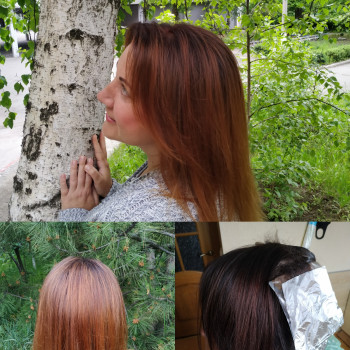 Окрашивание волос
                    Парикмахер Алена Днепр