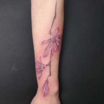 Максим Медведюк, Рівне Фото - 23