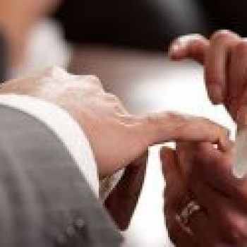 Фото с портфолио El Studio