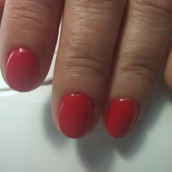 Наталья , Запорожье Фото - 6