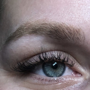 Зажившие брови