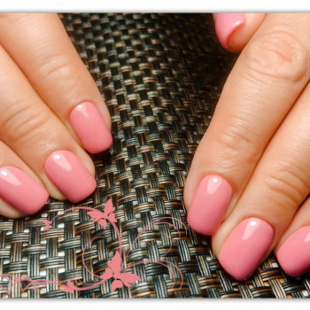 Фото с портфолио Ольга 