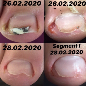 Андрій Ясінський, Луцьк Фото - 14