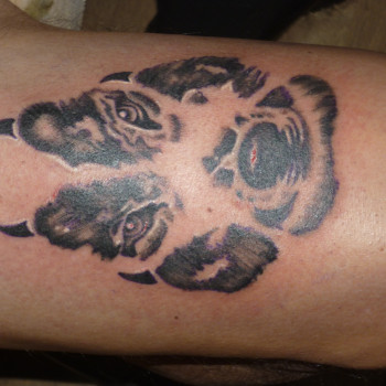 Фото с портфолио Сергей Левенец