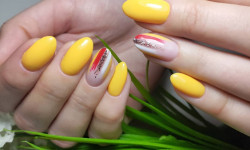 Маникюр для ежедневной носки Салон краси MiloslavSky Київ