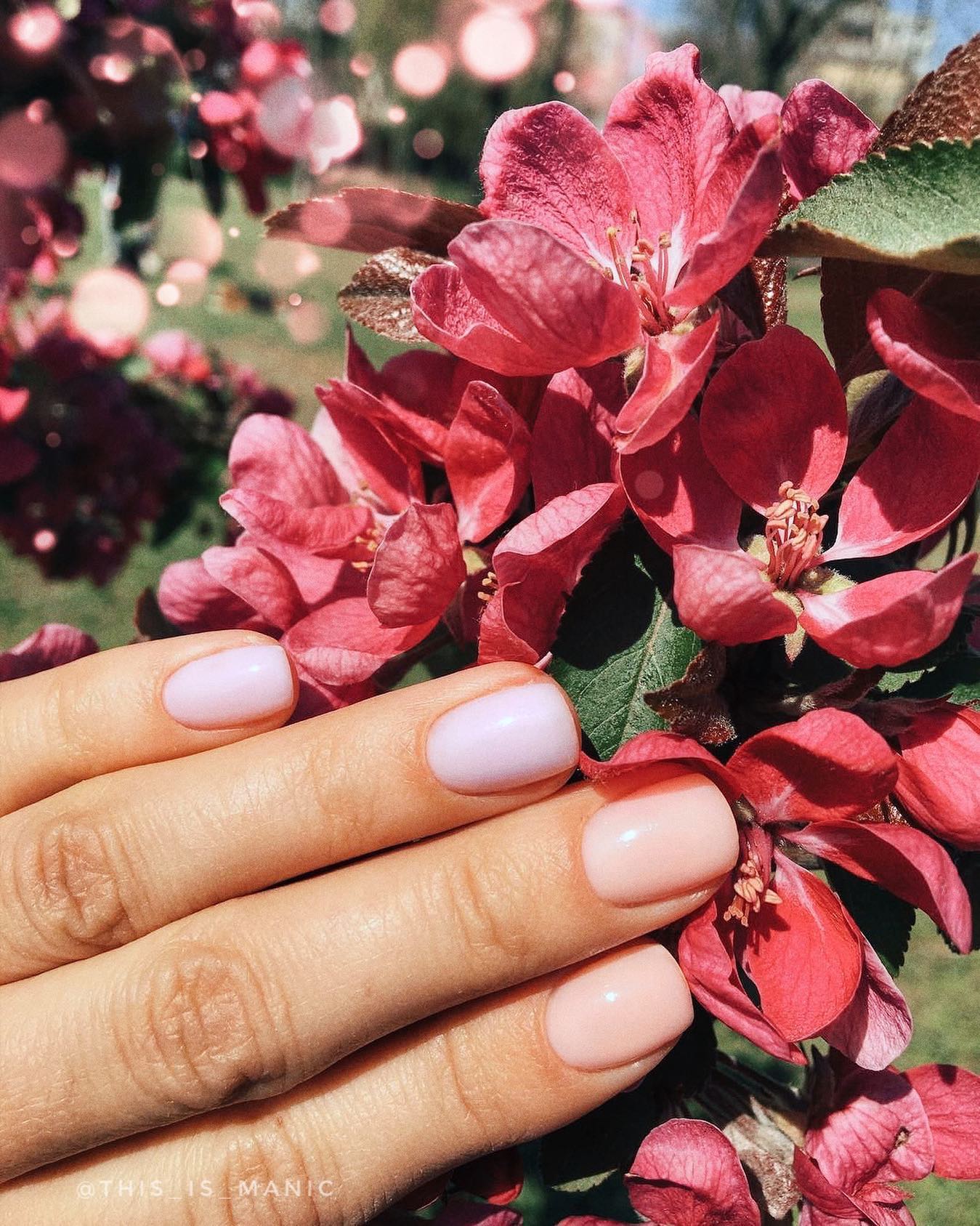 Ніжний манікюр нюдовий весна, фото - Нігтьова студія THIS IS MANIC nail studio
