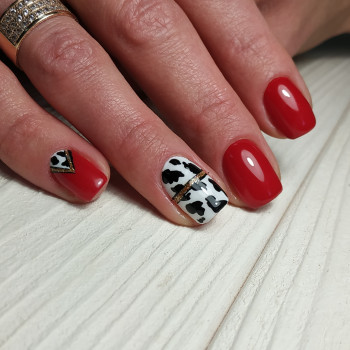 Наталія Мошківська , Житомир Фото - 12