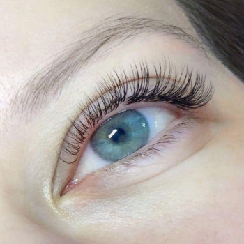 Lama lash, Київ Фото - 5