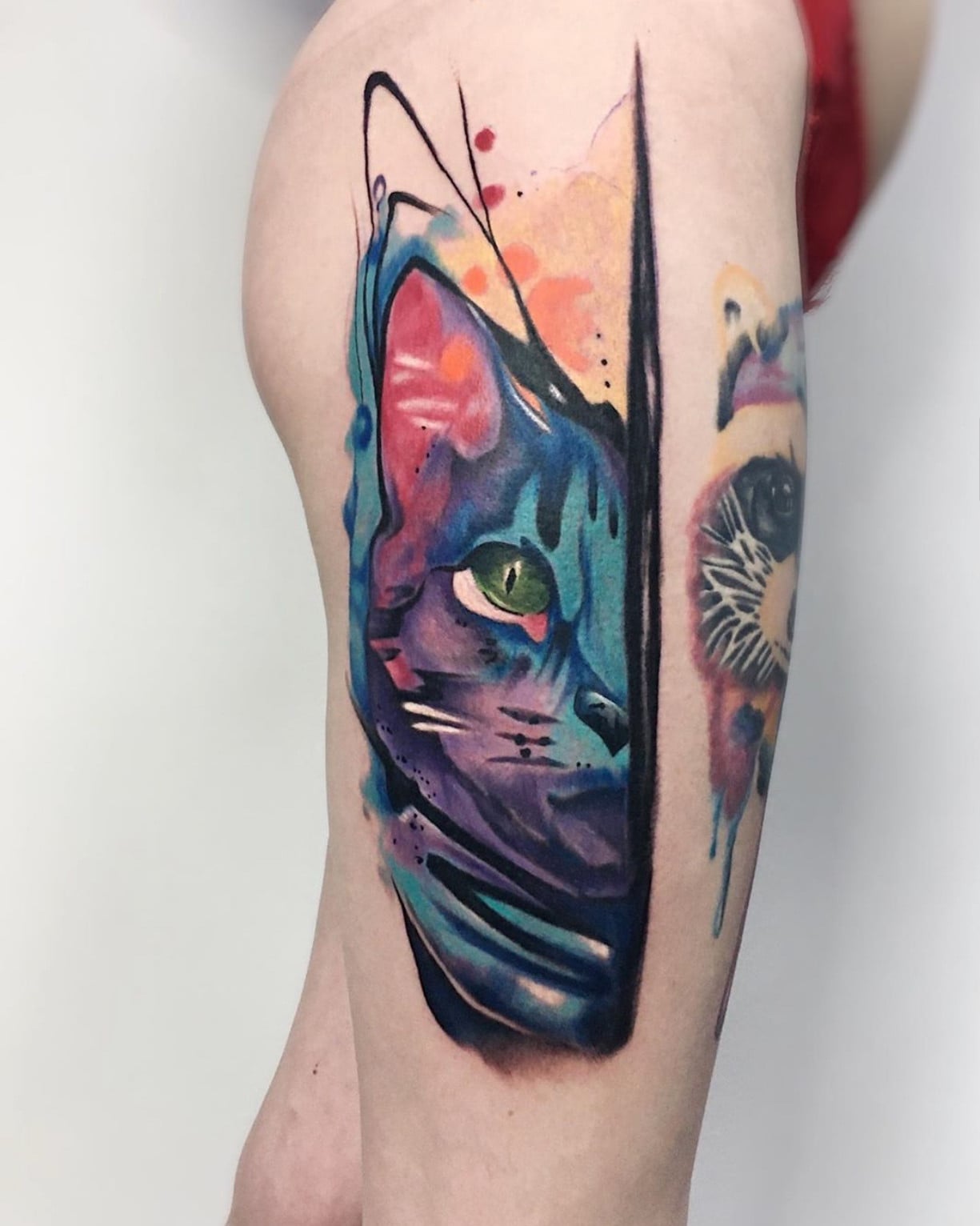 Акварель кошка, фото - Тату салон Black Ink Tattoo Studio
