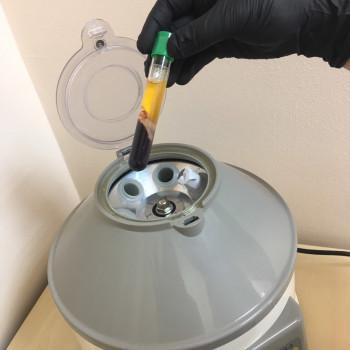 Надія, Кривой Рог Фото - 4