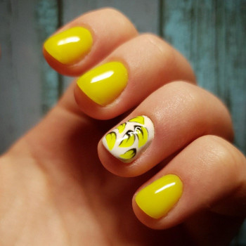 Фото с портфолио Ася Шейко 