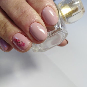 Светлана Кириллова , Херсон Фото - 50