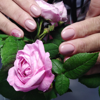 Светлана Кириллова , Херсон Фото - 51