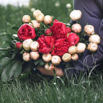 Артем Клименко, Полтава Фото - 37