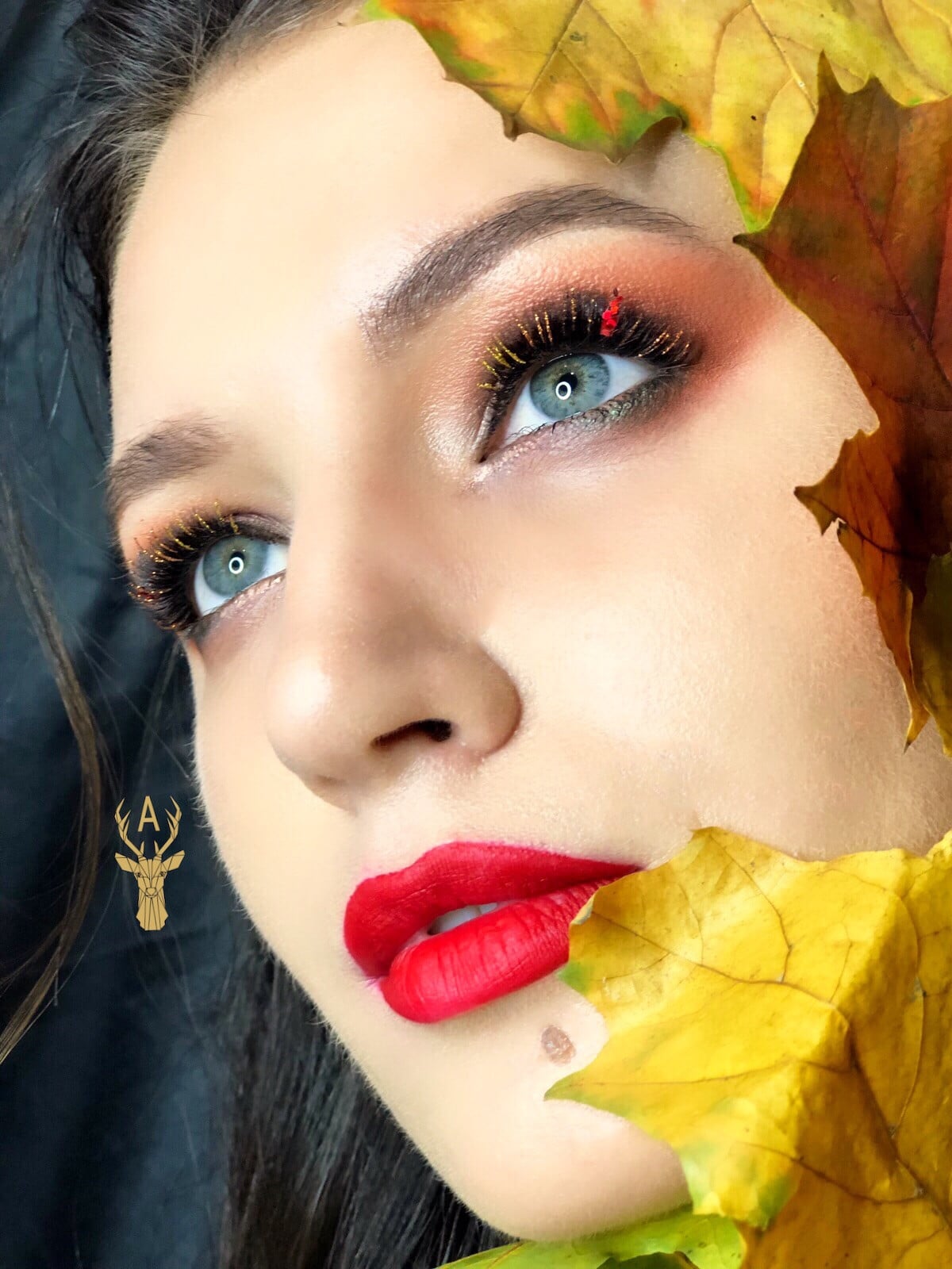 Красивый макияж яркий с красной помадой, фото -  Артемис Эсфандияри