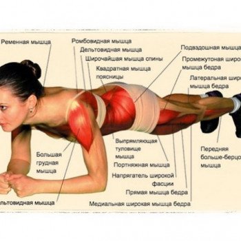 Фото с портфолио Beauty Space