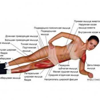 Фото с портфолио Beauty Space