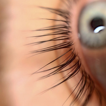 Ламинирование ресниц MY LAMINATION
Стоимость процедуры- 600