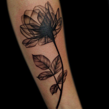 VeAn, Мариуполь Фото - 8