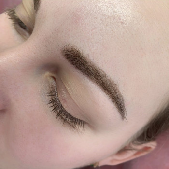 Зажившие брови