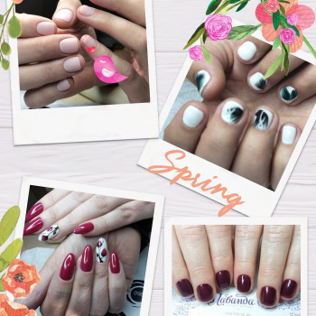 Лаванда, Киев Фото - 10