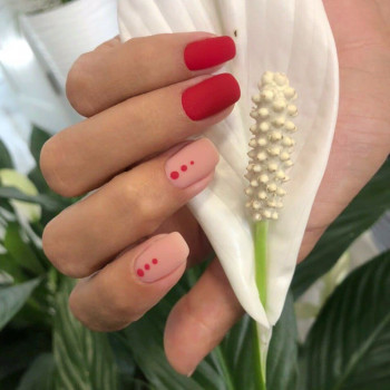 Комильфо, Умань Фото - 37