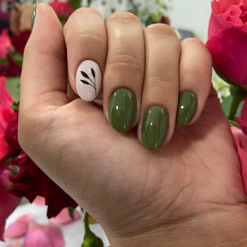 Комильфо, Умань Фото - 38