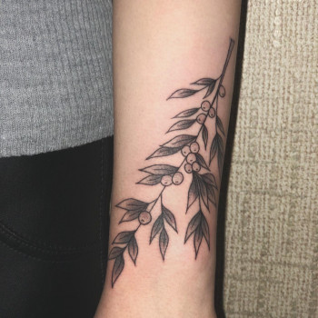 Тату на руці оливкова гілка, фото - Тату салон Tattoo-fashion