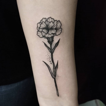 Тату на руці гвоздика, фото - Тату салон Tattoo-fashion