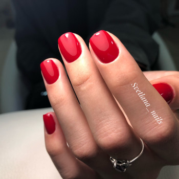 Светлана , Київ Фото - 3