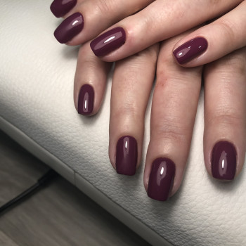 Светлана , Київ Фото - 5