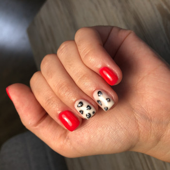 Светлана , Київ Фото - 6