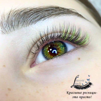 Нарощування вій, брови, ламінування
                    Лешмейкер Анна Харків