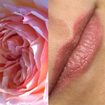 Ольга Величко , Харьков Фото - 8