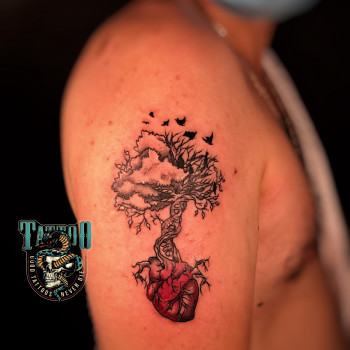 Александр Малитчук , Ивано-Франковск Фото - 7